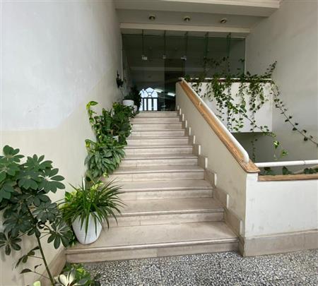 راه پله و فضای سبز